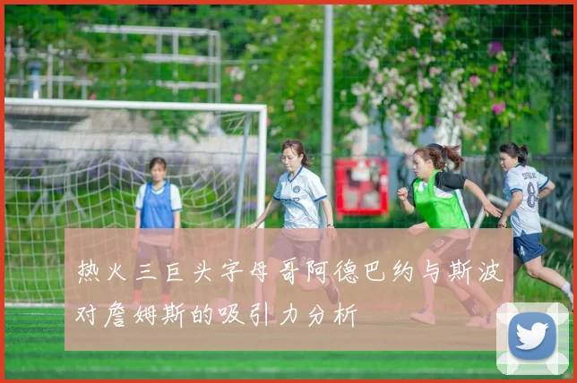 热火三巨头字母哥阿德巴约与斯波对詹姆斯的吸引力分析